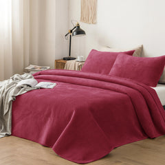 Lightweight Plush Velvet All-Season Quilt