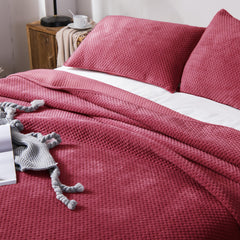 Lightweight Plush Velvet All-Season Quilt