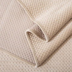 Lightweight Plush Velvet All-Season Quilt